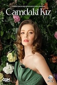 изображение к видео Девушка за стеклом