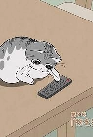 Вечера с кошкой [ТВ-2]